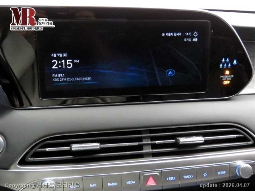 HYUNDAI Palisade - Vista 10