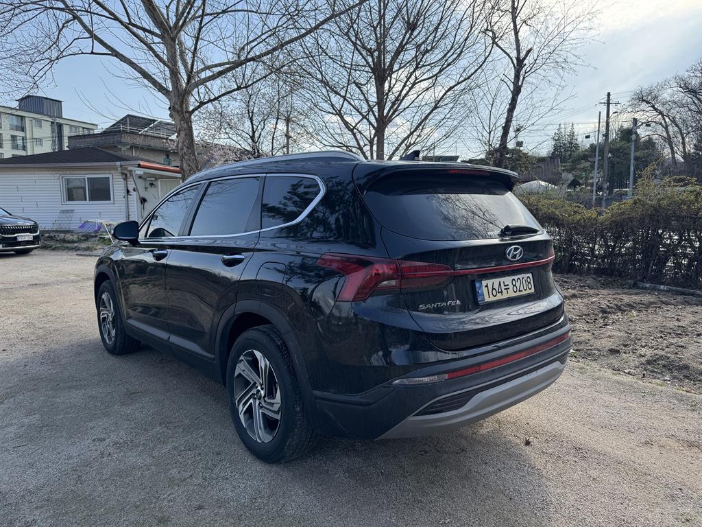 HYUNDAI Santa Fe - Vista 6