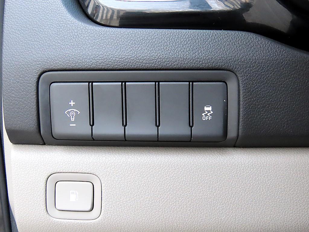 KIA Carnival - Vista 12