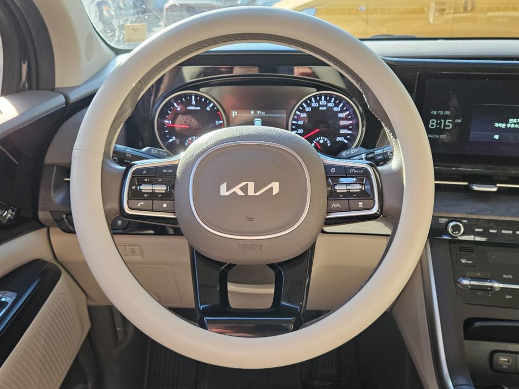 KIA Carnival - Vista 8