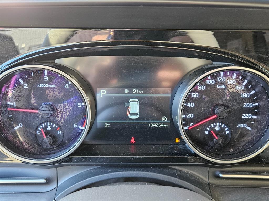 KIA Carnival - Vista 9