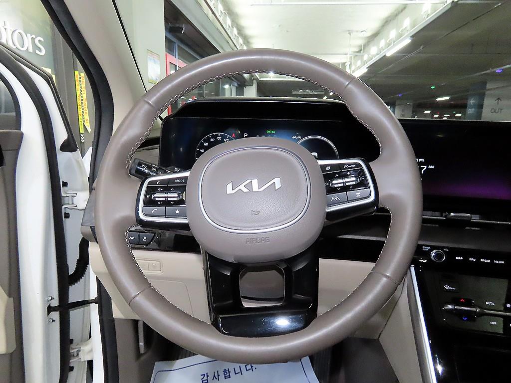 KIA Carnival - Vista 8