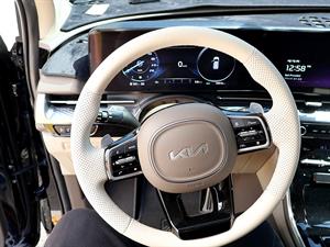 KIA Carnival - Vista 12