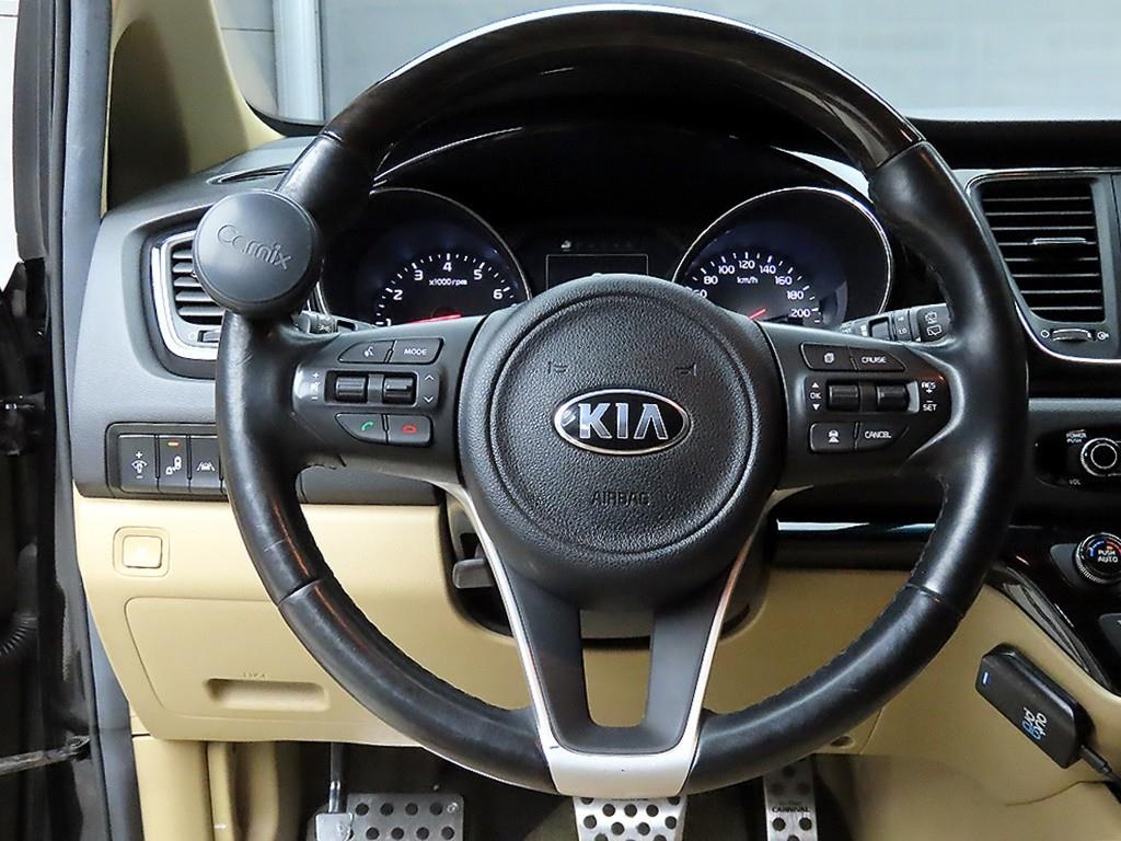 KIA Carnival - Vista 9