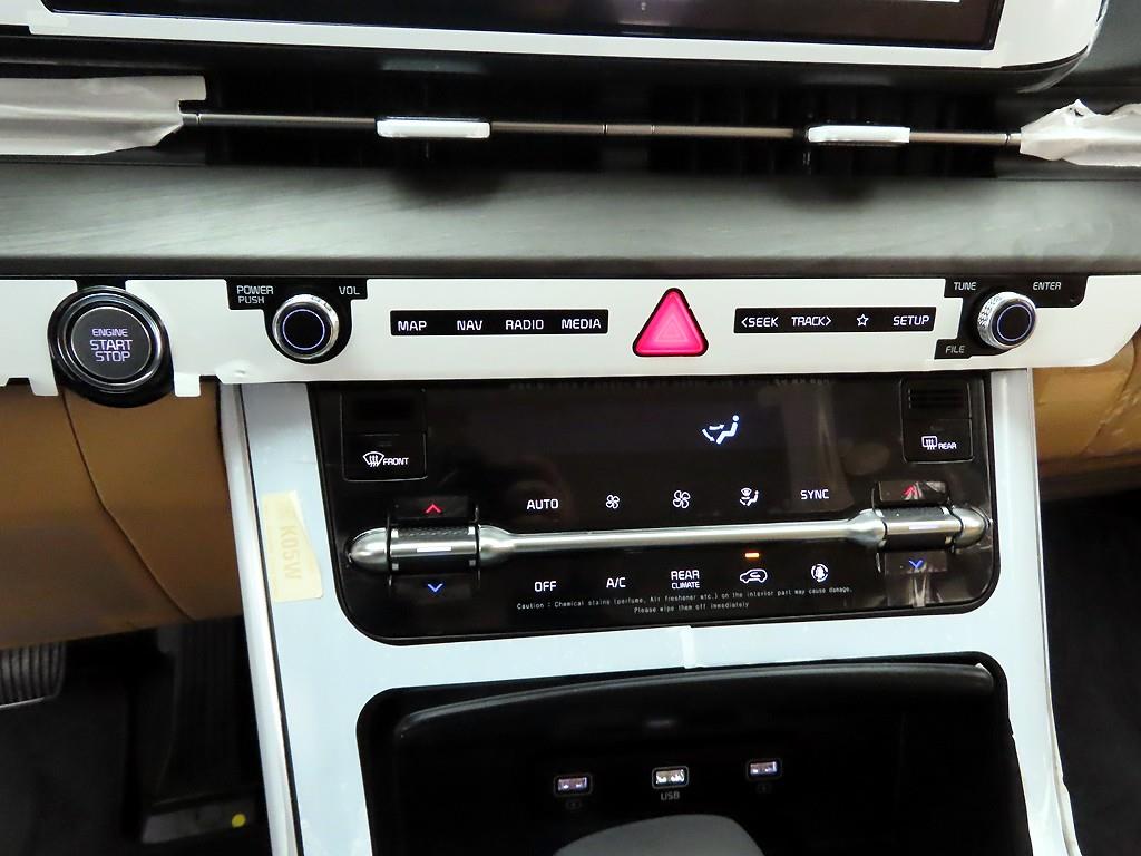 KIA Carnival - Vista 9