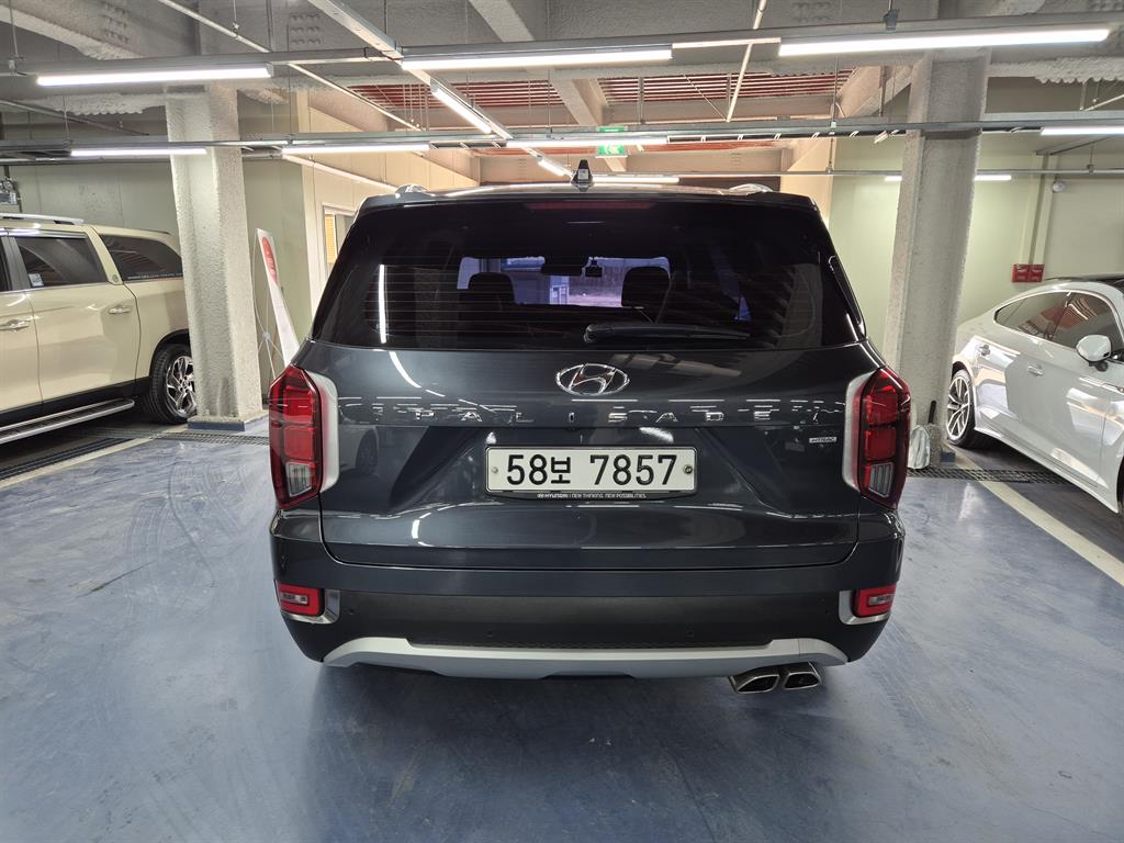 HYUNDAI Palisade - Vista 5