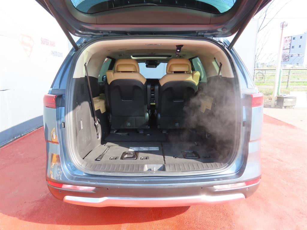 KIA Carnival - Vista 9