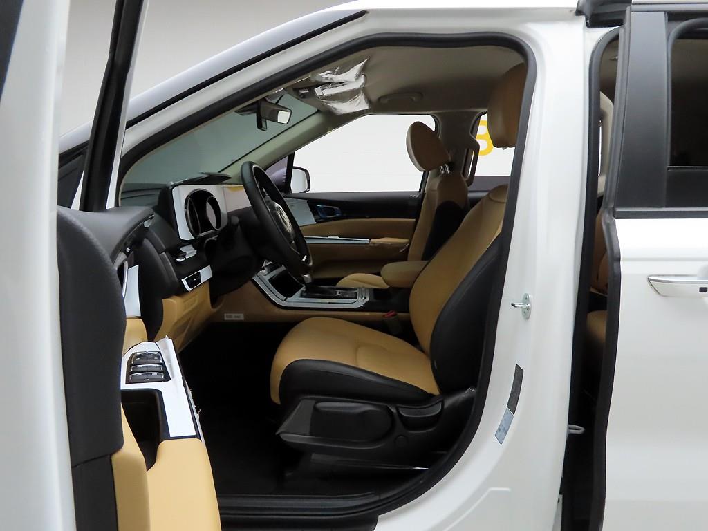 KIA Carnival - Vista 12