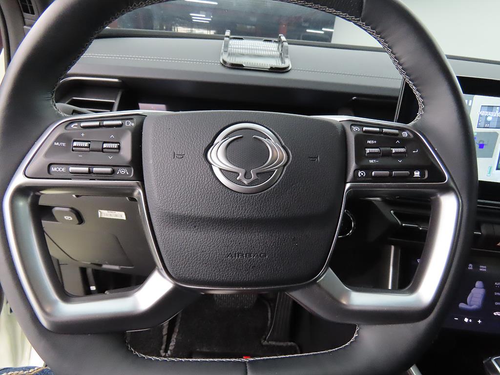 Ssangyong Torres - Vista 12
