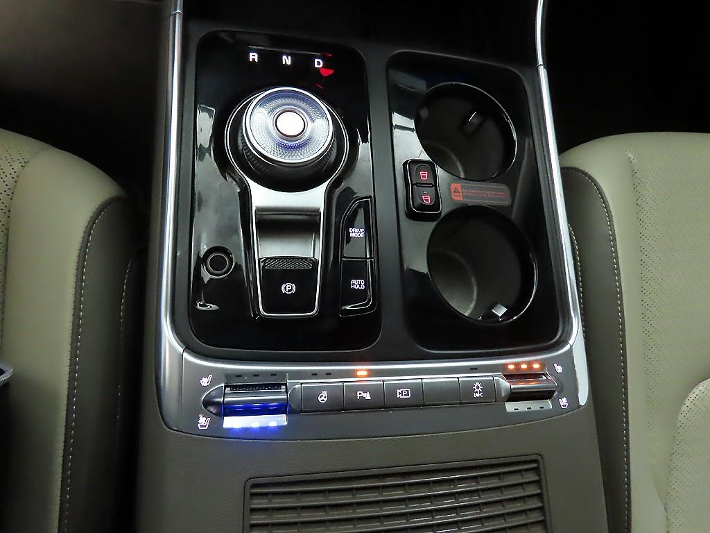 KIA Carnival - Vista 12