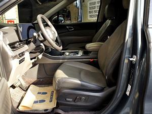 KIA Carnival - Vista 10