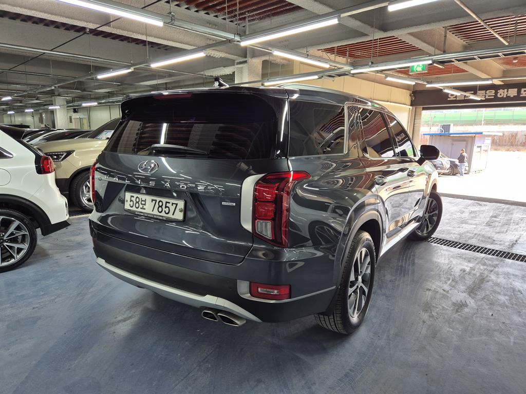 HYUNDAI Palisade - Vista 6