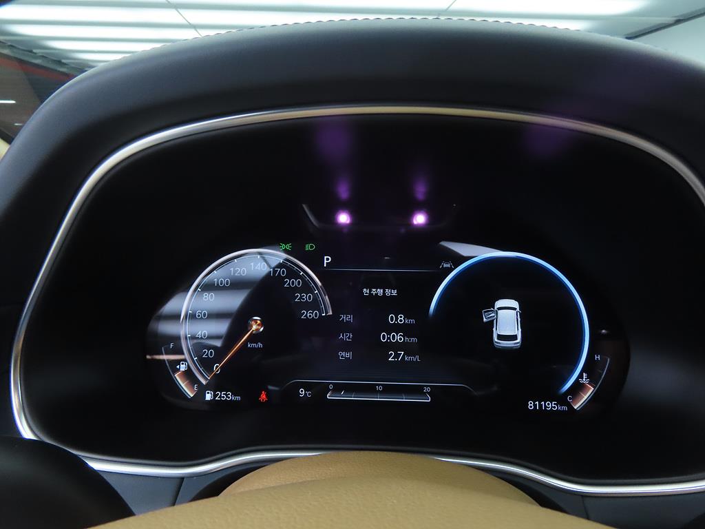 Genesis GV80 - Vista 10