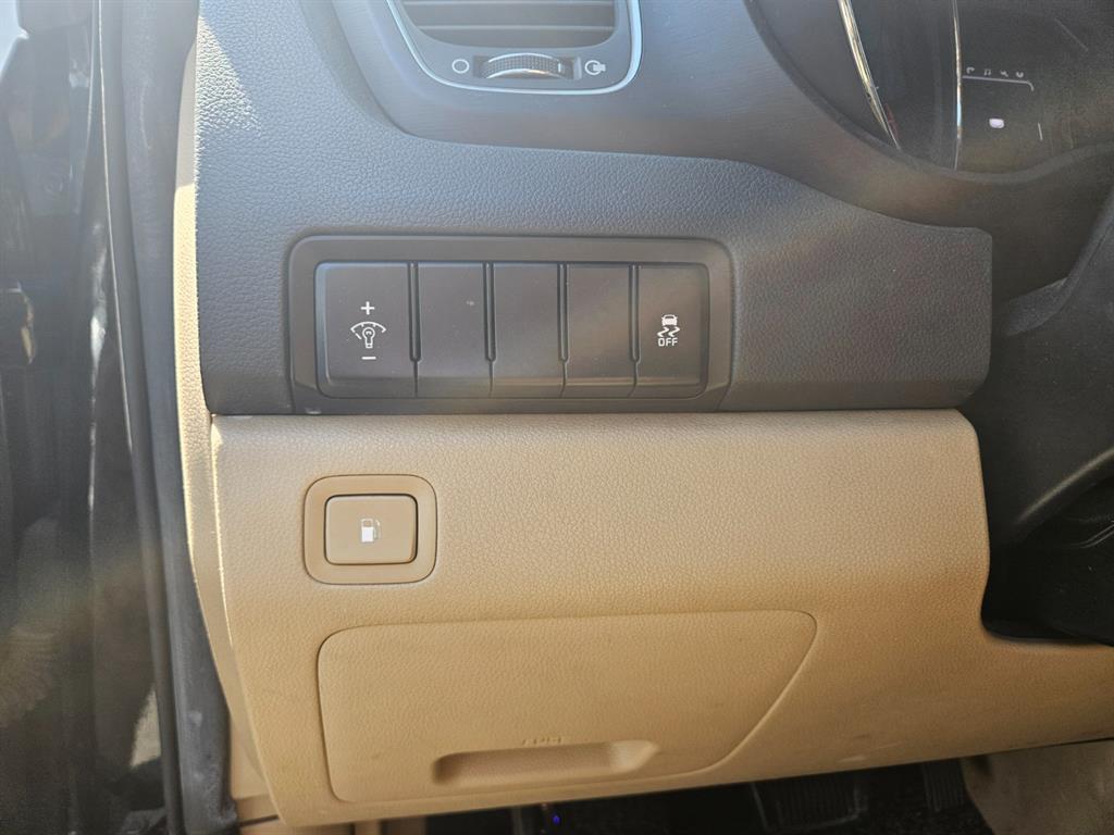 KIA Carnival - Vista 12