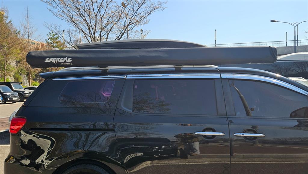 KIA Carnival - Vista 3