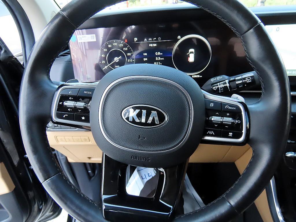 KIA Carnival - Vista 9