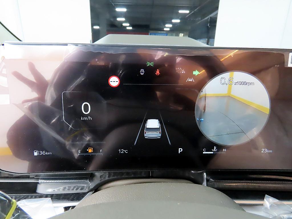 KIA Carnival - Vista 8