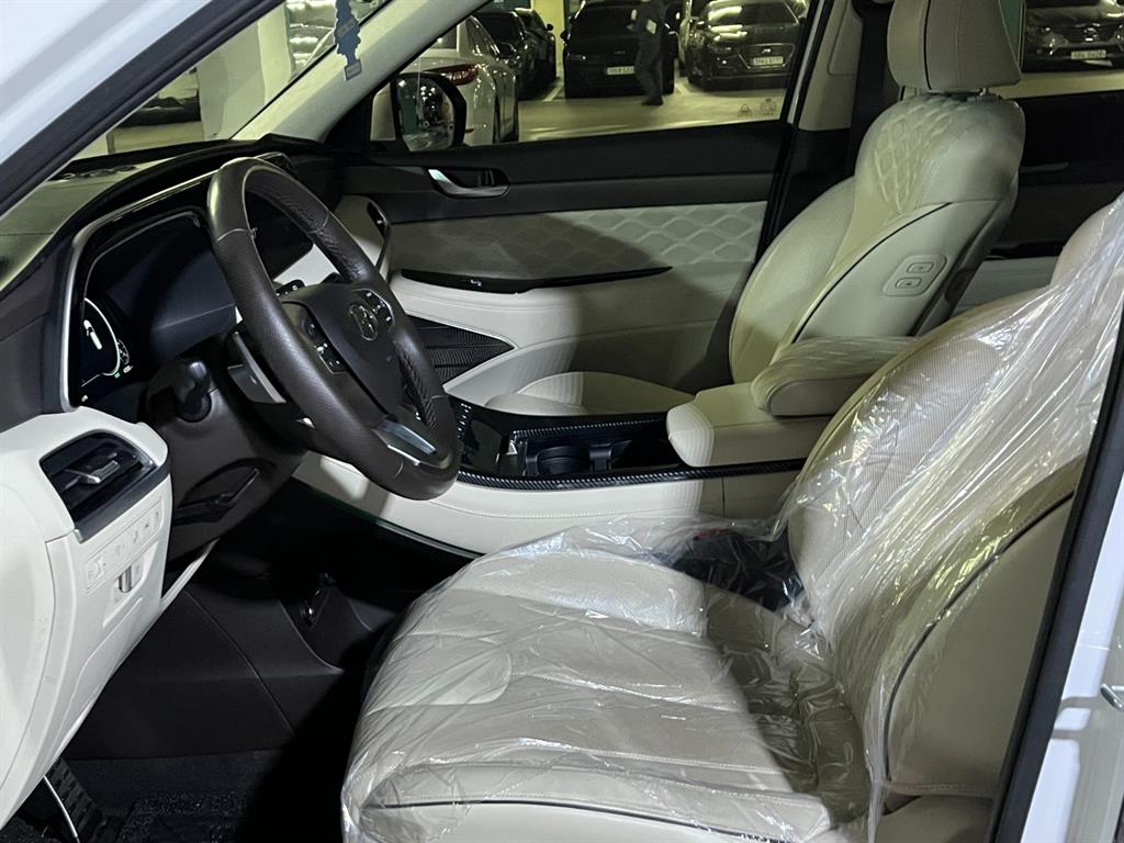 HYUNDAI Palisade - Vista 8