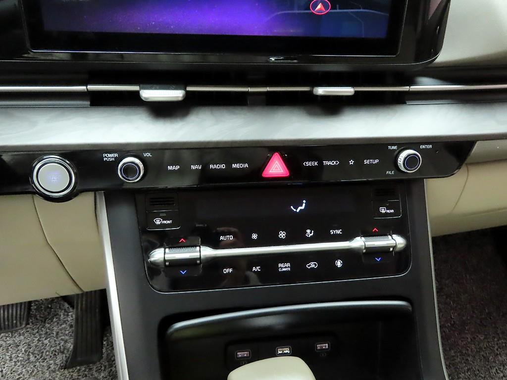 KIA Carnival - Vista 10