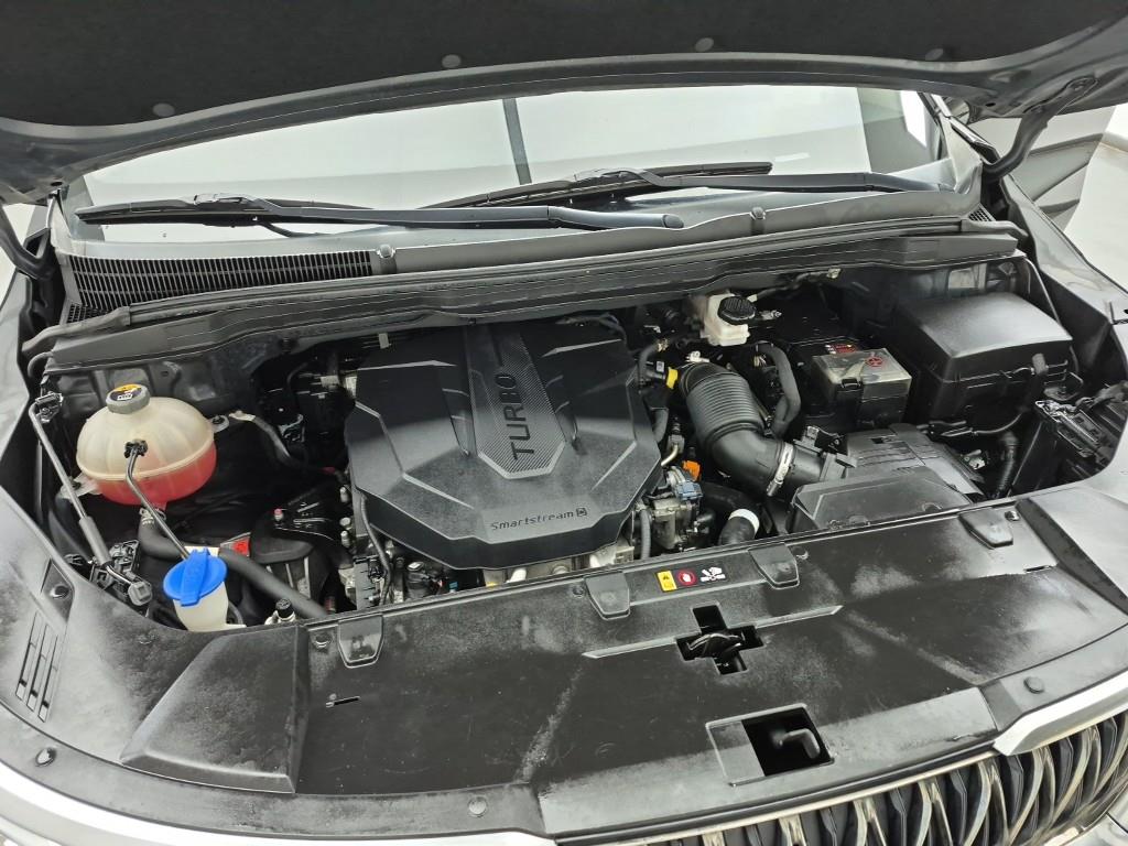 KIA Carnival - Vista 6