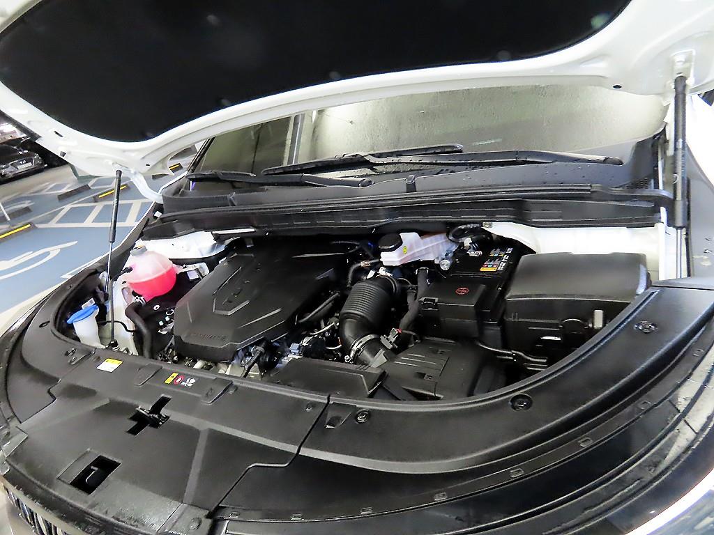 KIA Carnival 2024 Blanco - Importación desde Corea - HF Imports Iquique - Foto 19