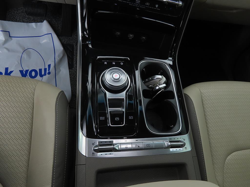 KIA Carnival - Vista 12