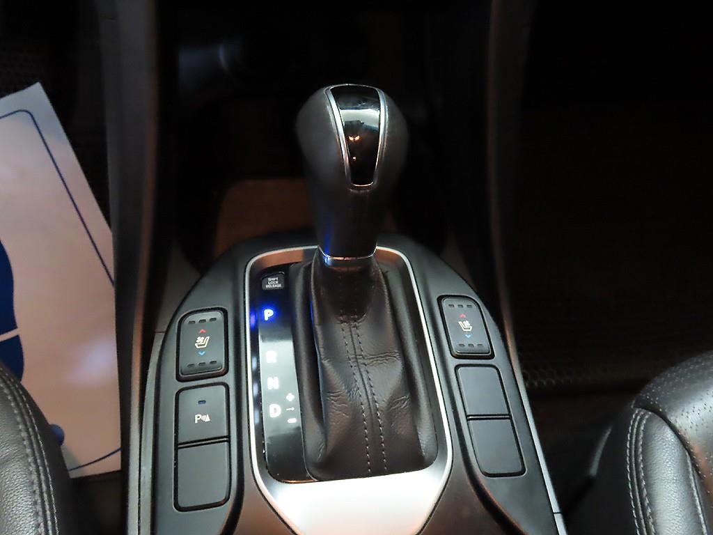 HYUNDAI Maxcruz - Vista 12