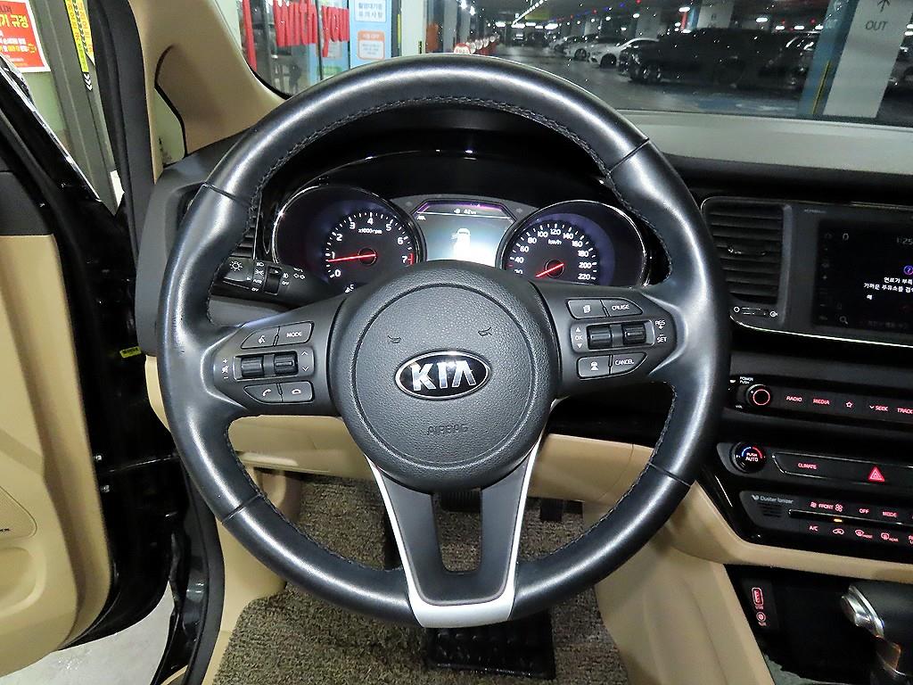 KIA Carnival - Vista 8