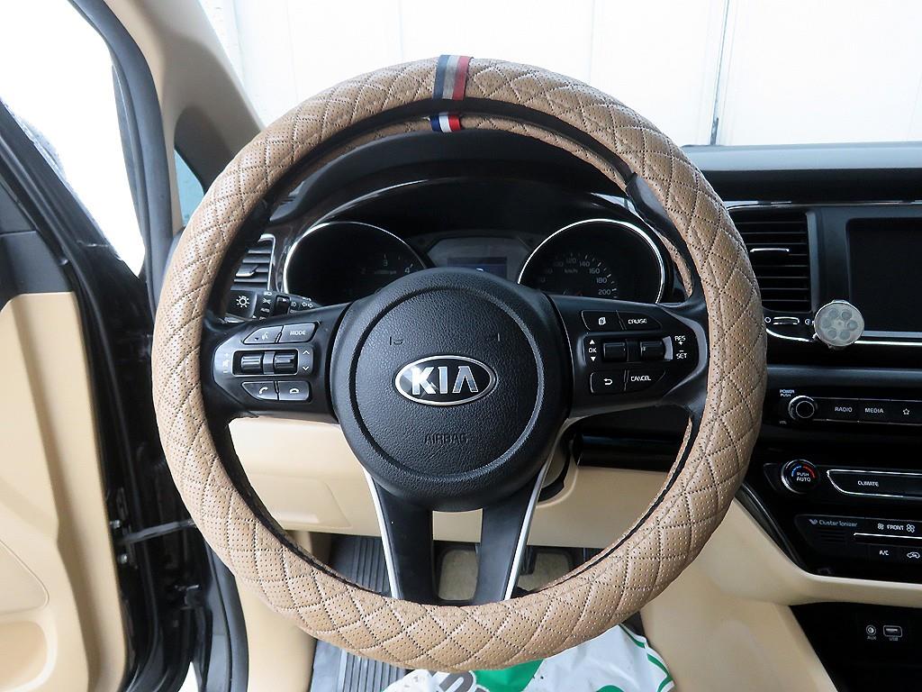 KIA Carnival - Vista 12