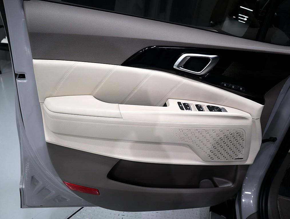 KIA Carnival - Vista 8