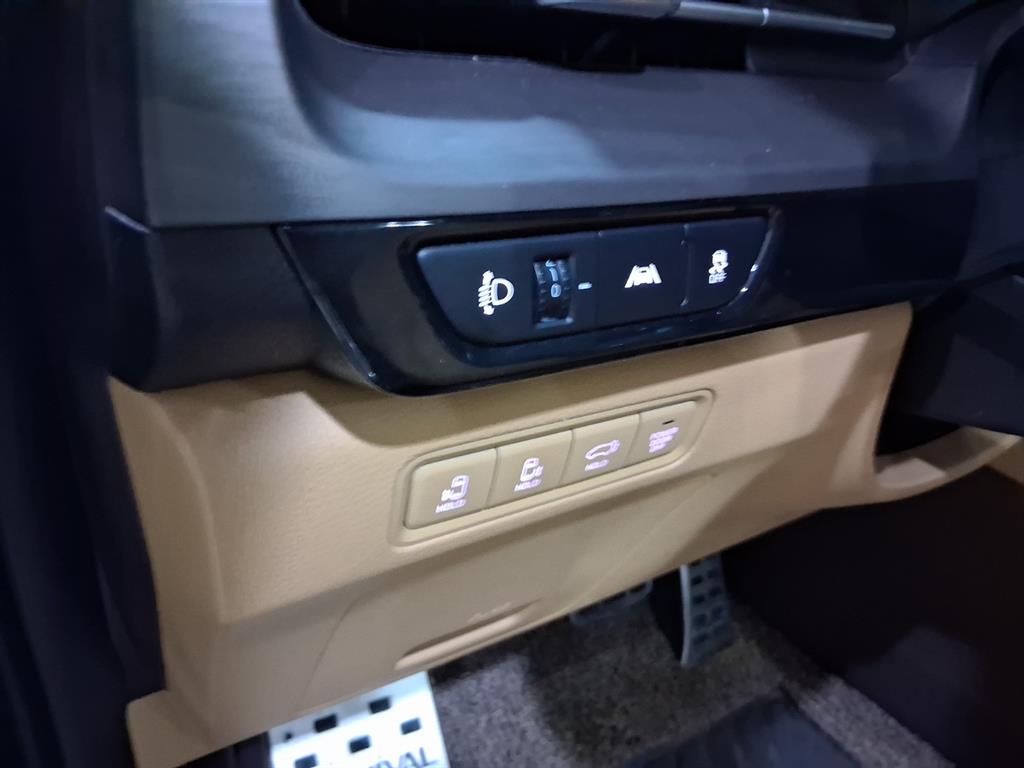 KIA Carnival - Vista 6