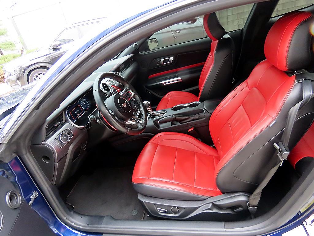 Ford Mustang - Vista 5