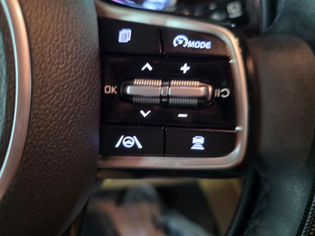 KIA Carnival - Vista 12