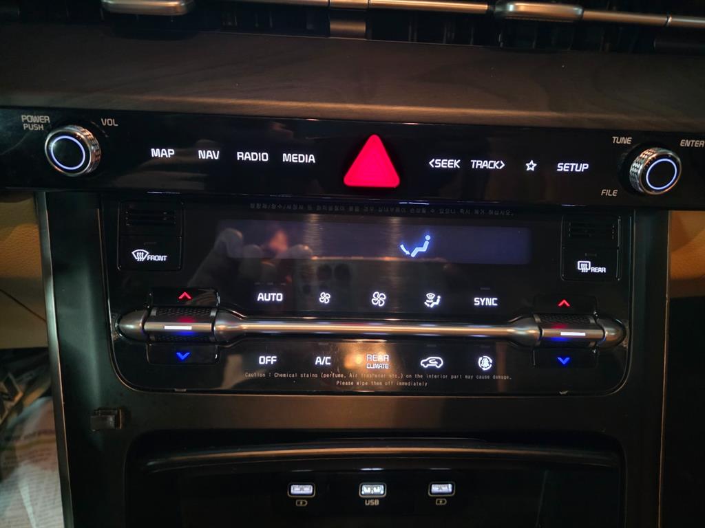 KIA Carnival - Vista 9