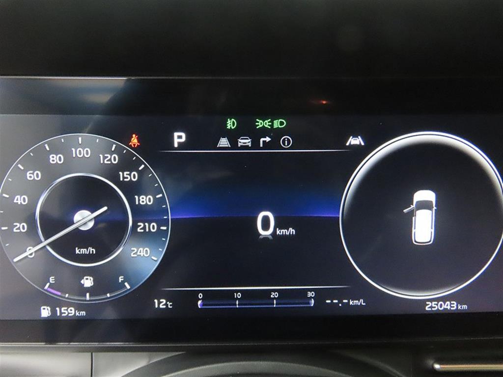 KIA Carnival - Vista 11