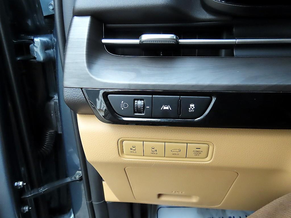 KIA Carnival - Vista 12