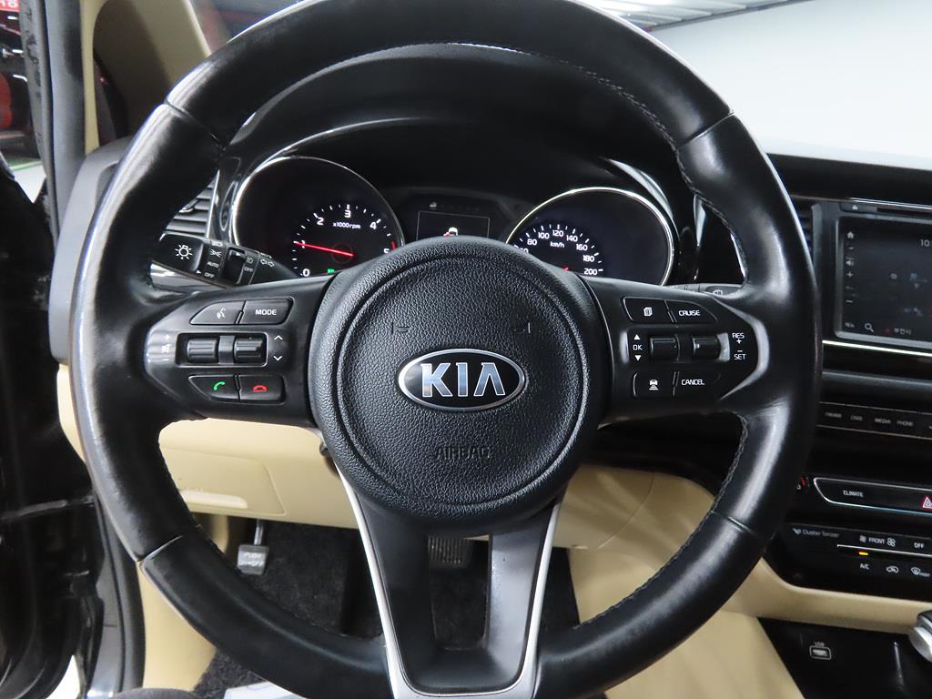KIA Carnival - Vista 8