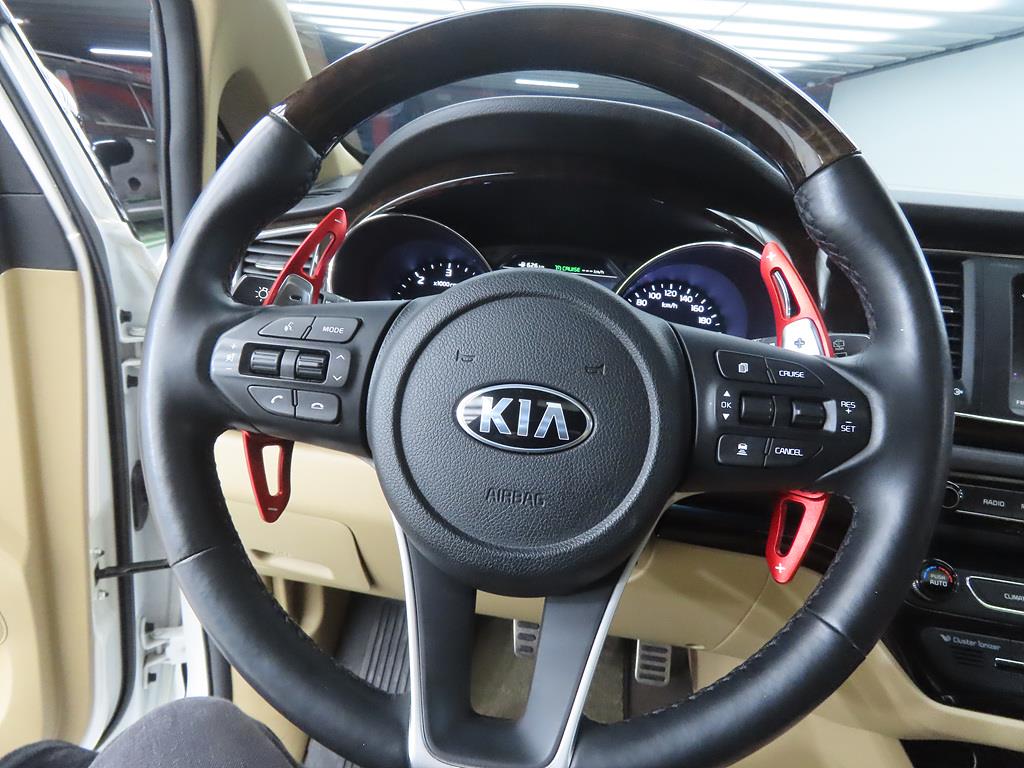 KIA Carnival - Vista 8