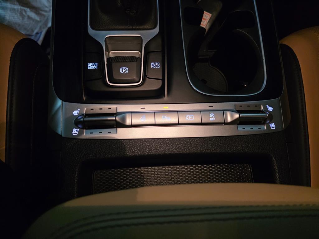 KIA Carnival - Vista 10