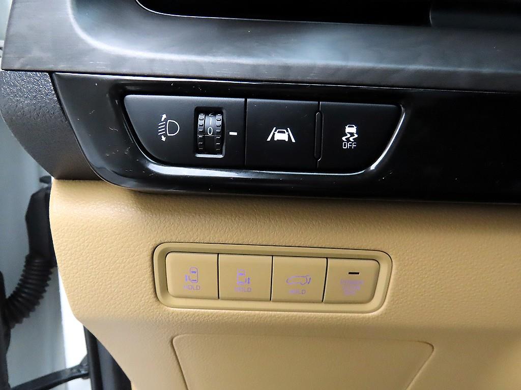 KIA Carnival - Vista 12
