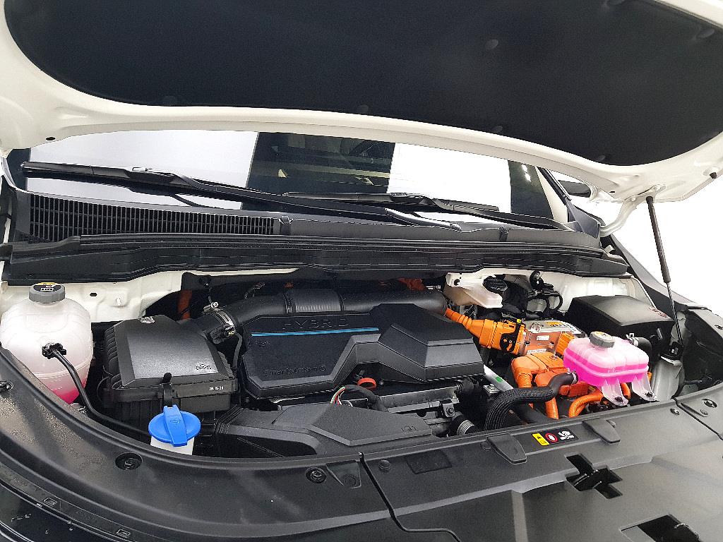 KIA Carnival - Vista 6