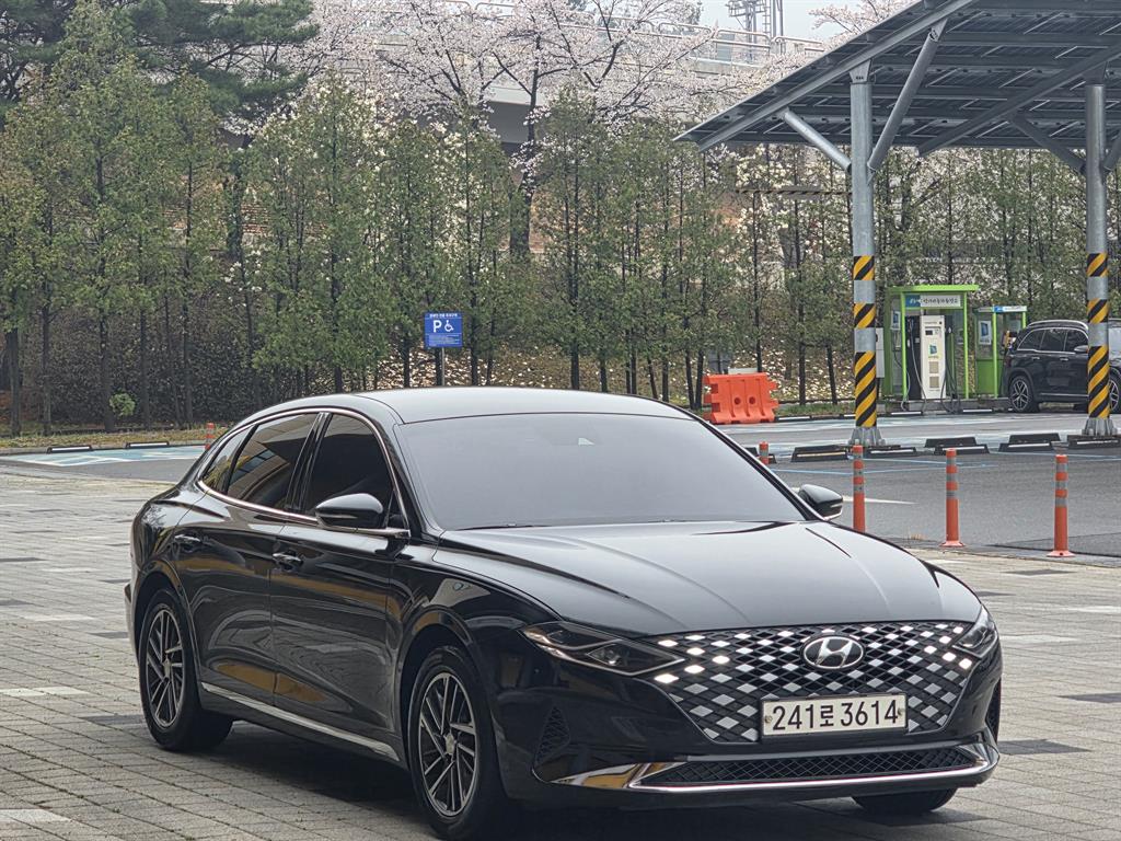 HYUNDAI Grandeur - Vista 3