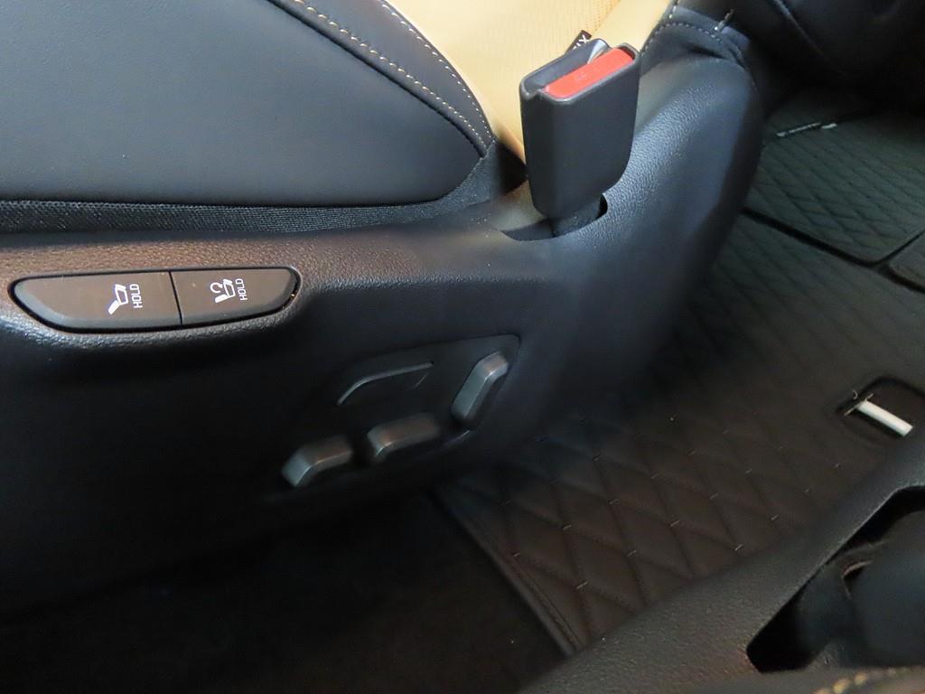 KIA Carnival - Vista 12