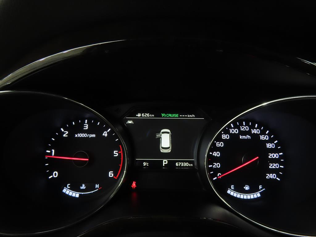 KIA Carnival - Vista 9