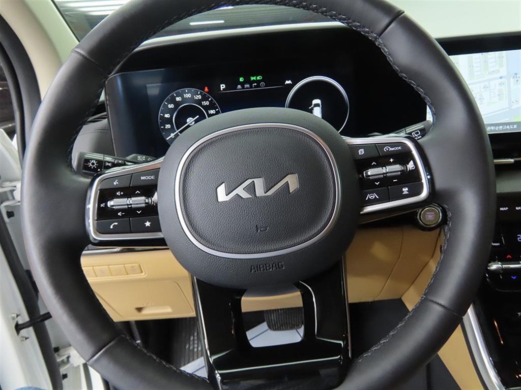 KIA Carnival - Vista 10