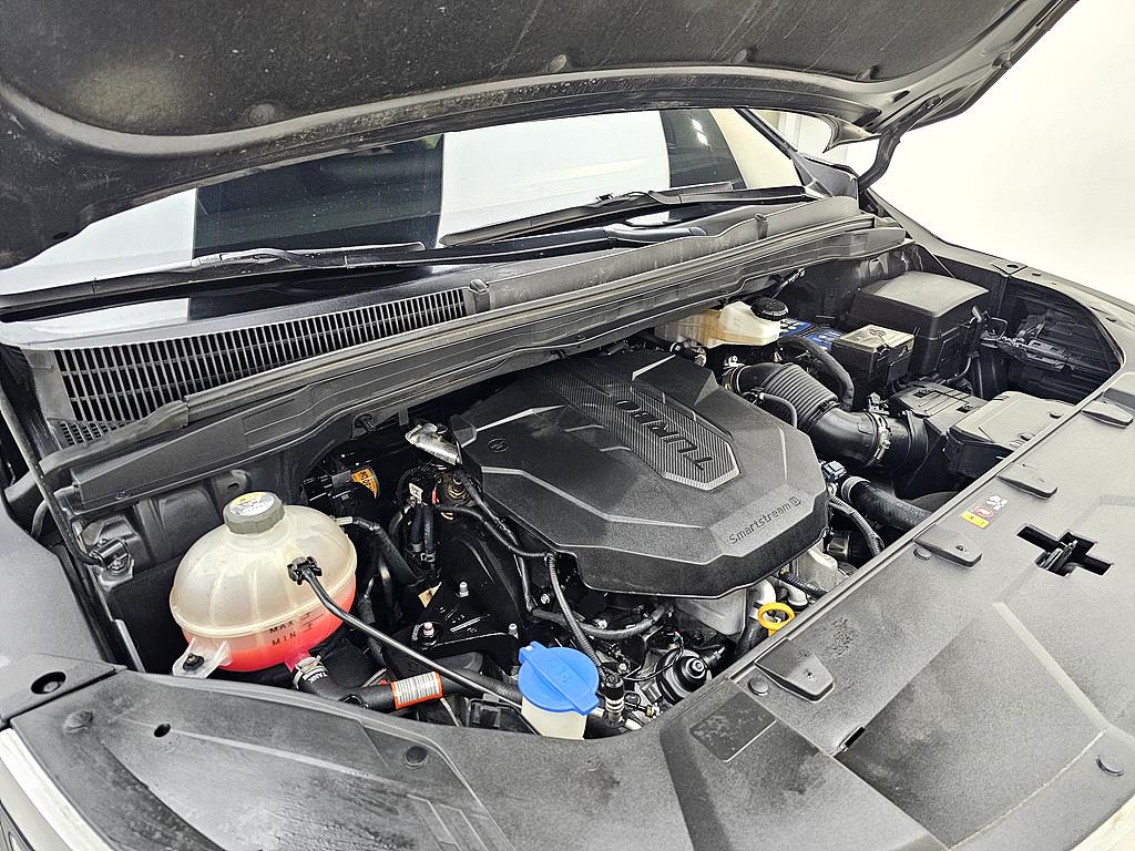 KIA Carnival - Vista 6