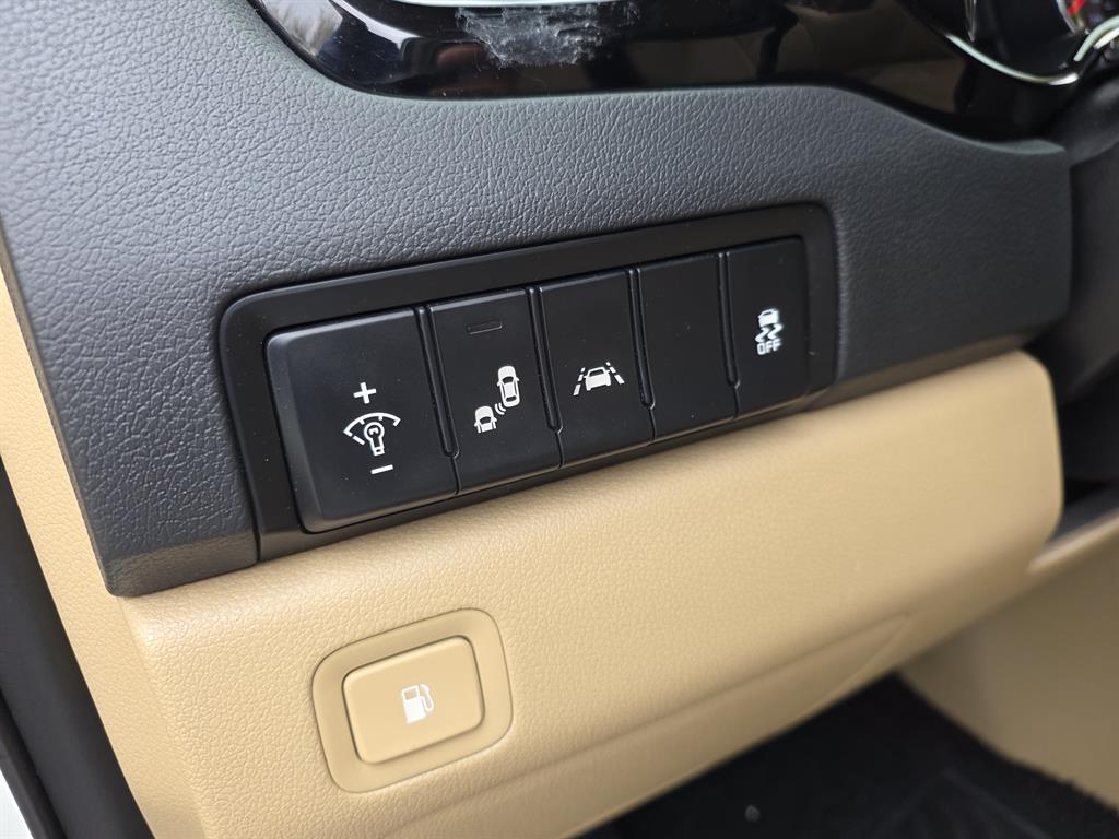 KIA Carnival - Vista 6