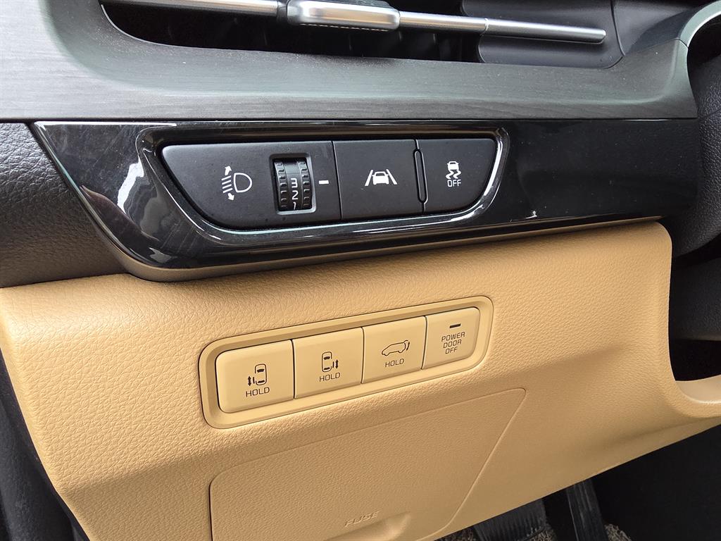 KIA Carnival - Vista 8