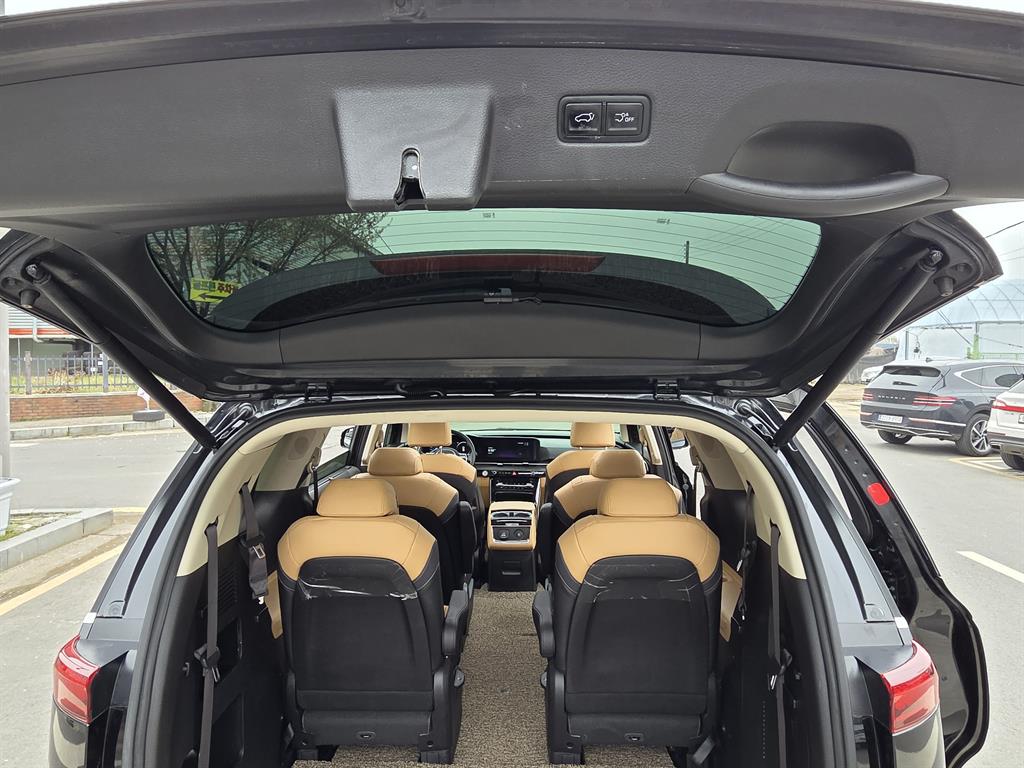 KIA Carnival - Vista 12