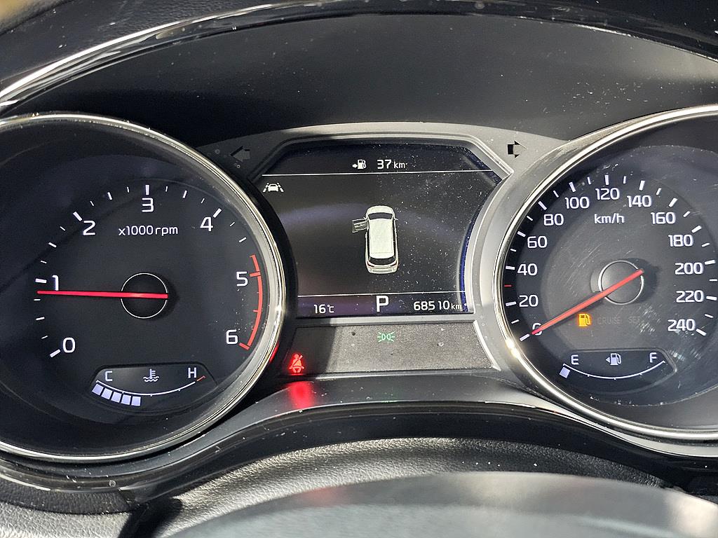 KIA Carnival - Vista 7